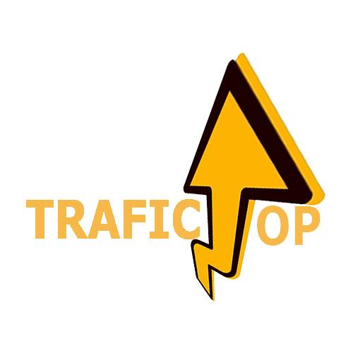 Traffic Seo User